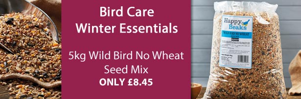 Wild Bird No Wheat Seed Mix