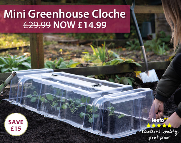 Mini Greenhouse Cloche