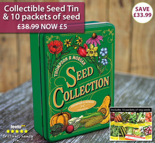 Seed Collection Tin