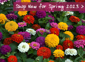 Shop Now for Spring 2023