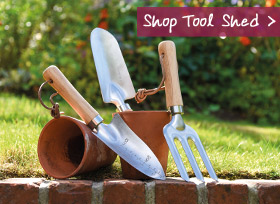 Shop Tool Shed